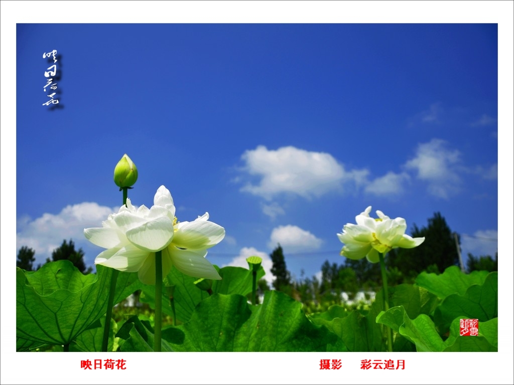 conew__dsc8076.jpg