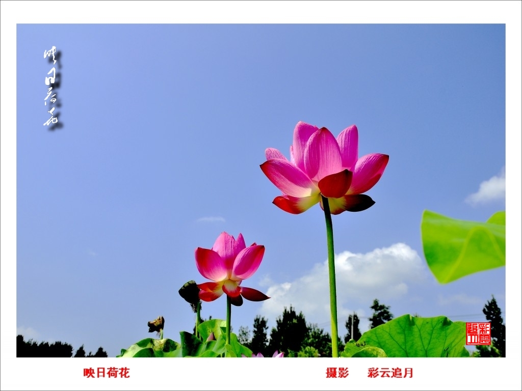 conew__dsc8079.jpg