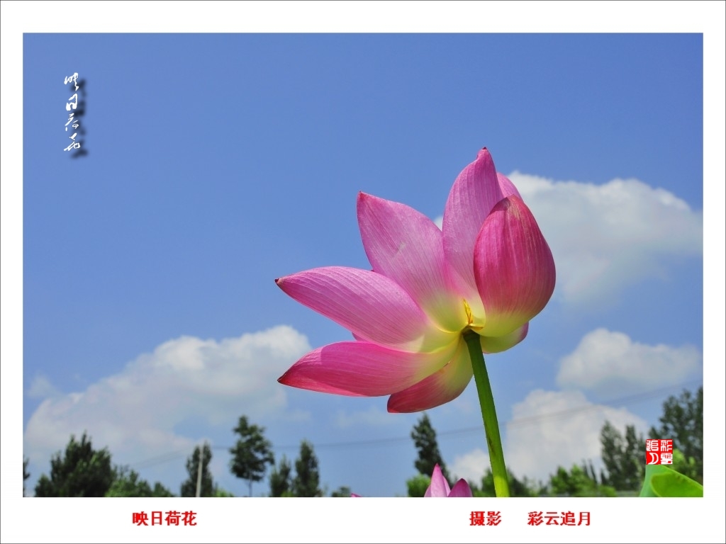 conew__dsc8078.jpg