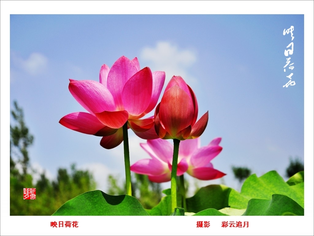 conew__dsc8085.jpg