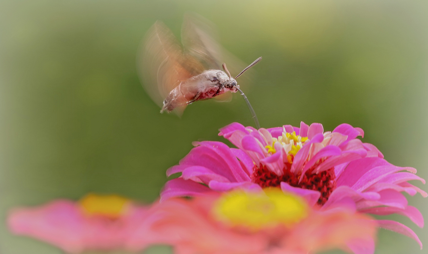 168A7324____.jpg