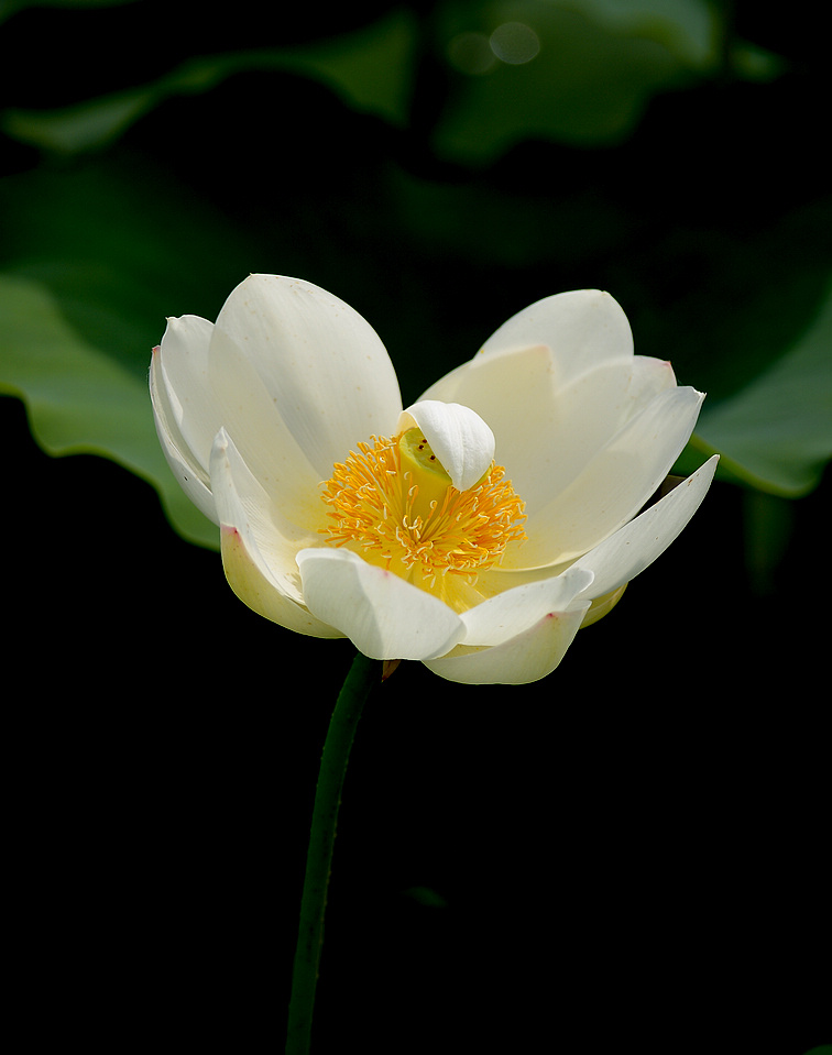 DSC_3721.jpg