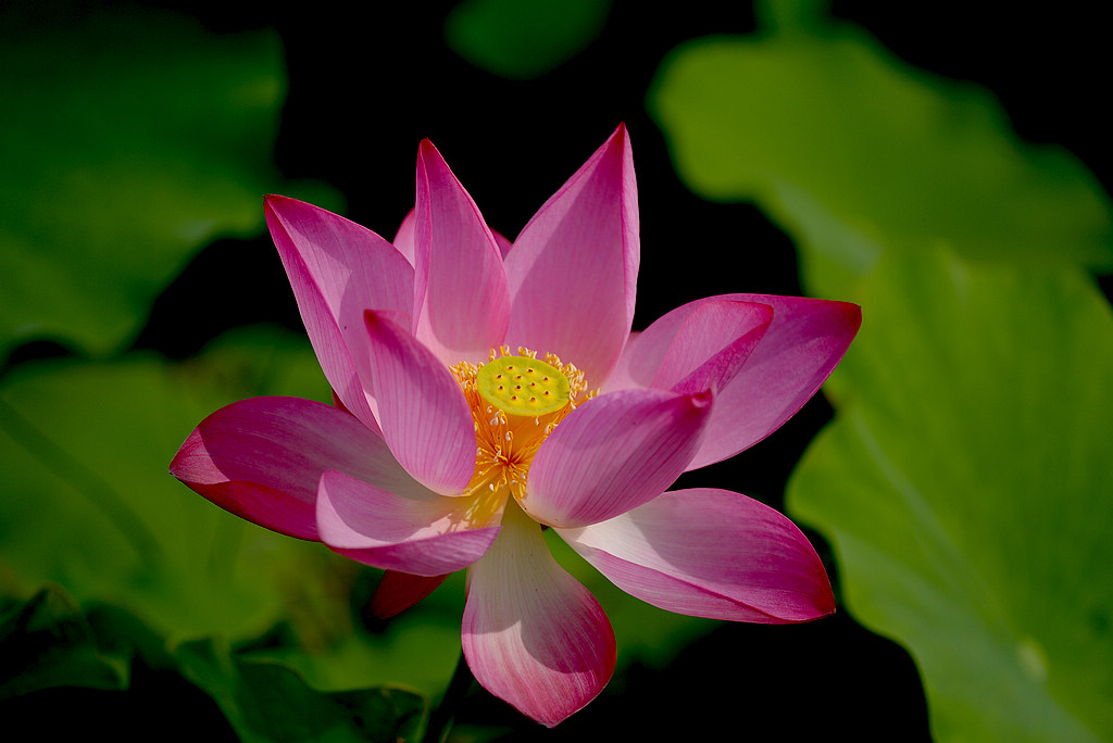 DSC_3789.jpg