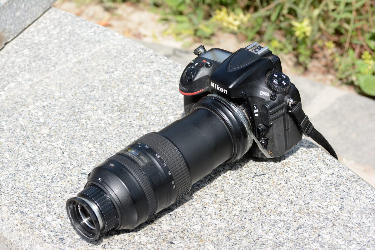 nEO_IMG_DSC_6576.jpg