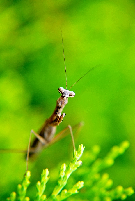 DSC_0017.JPG