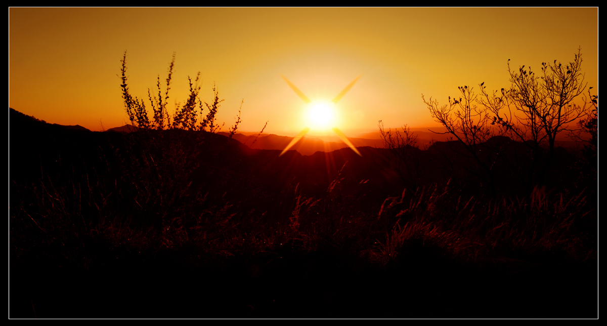 DSC_0723.JPG