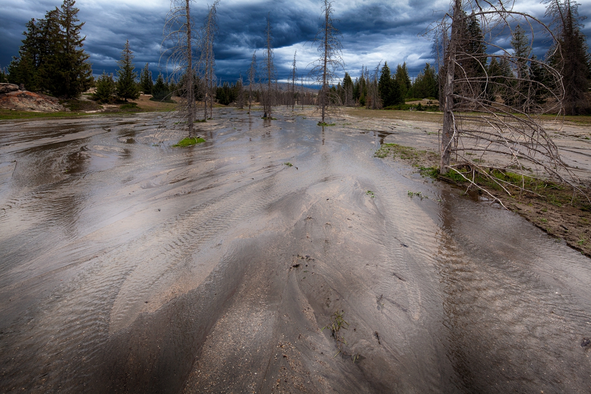 _MG_67571.jpg