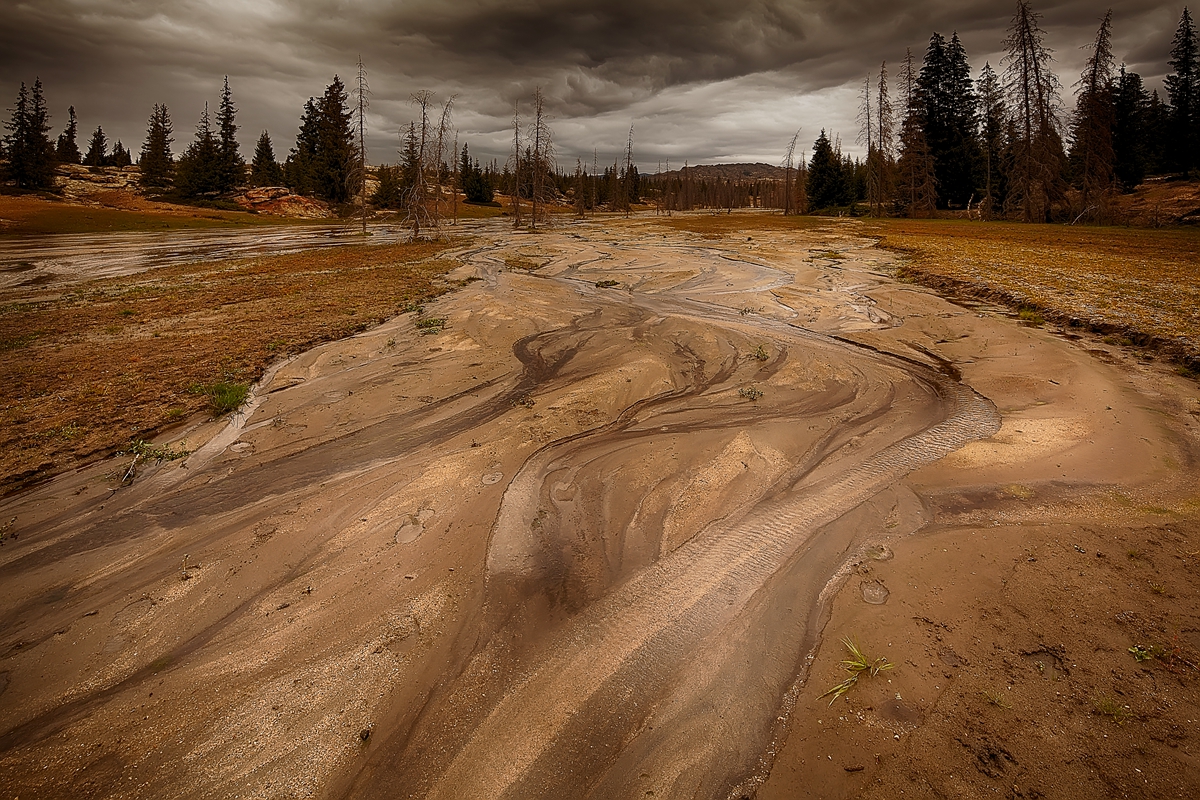 _MG_67621.jpg
