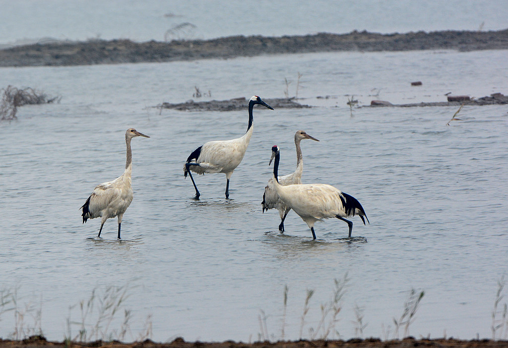 DSC_2977.jpg
