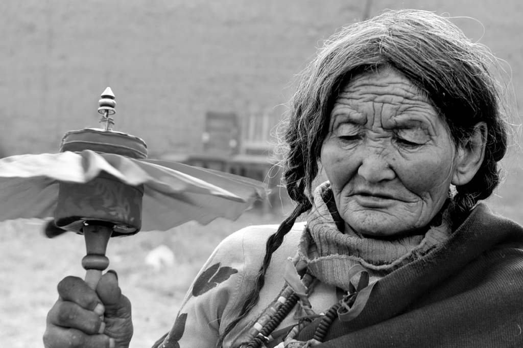 DSC_1626=.jpg