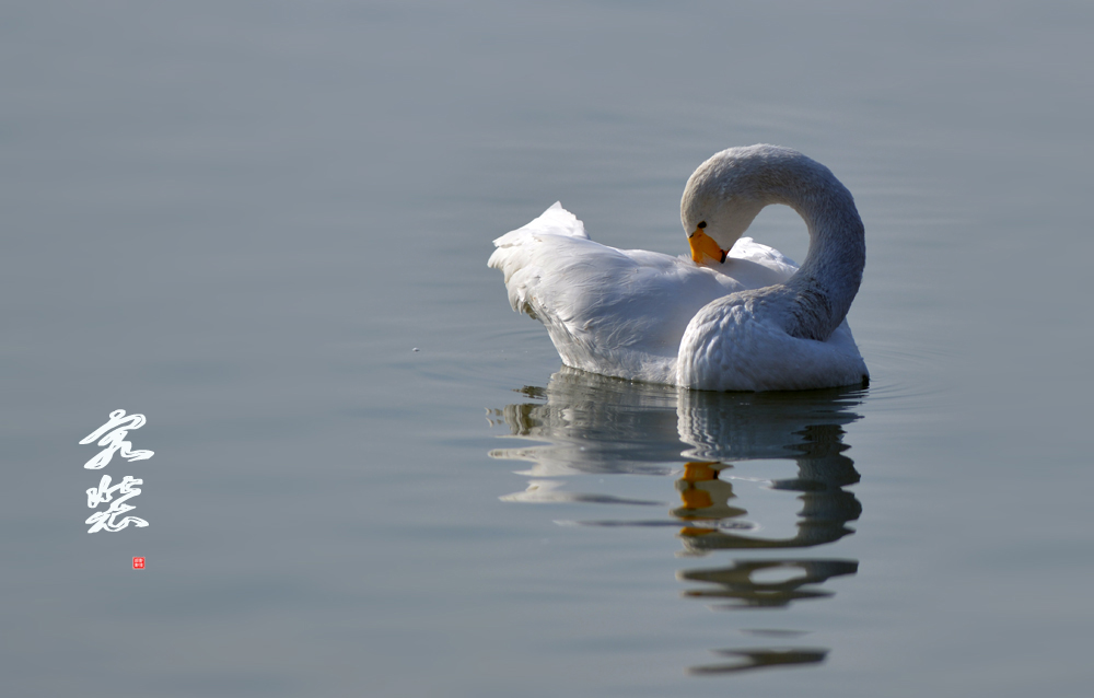 DSC_5488.JPG