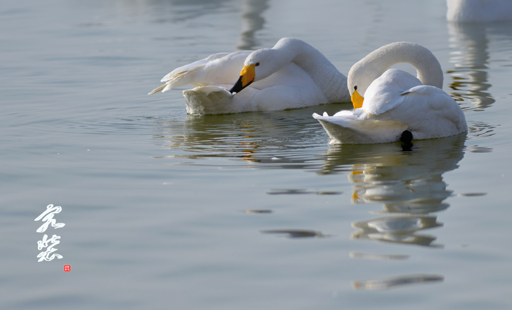 DSC_5491.JPG
