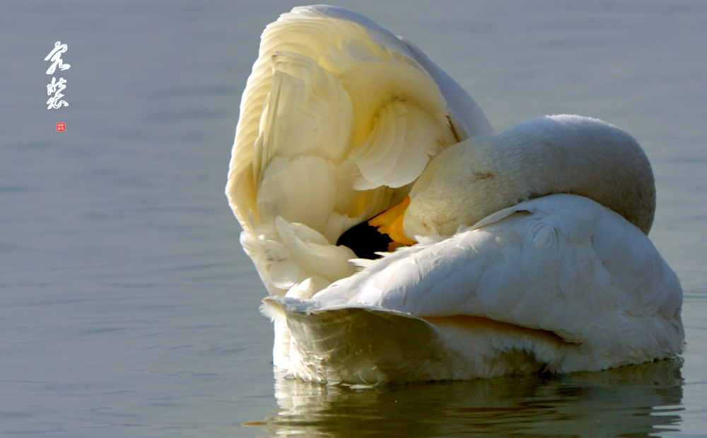DSC_5495.jpg