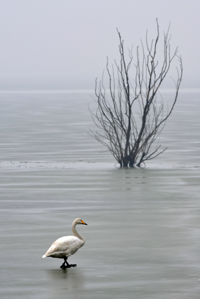 DSC_5376.JPG
