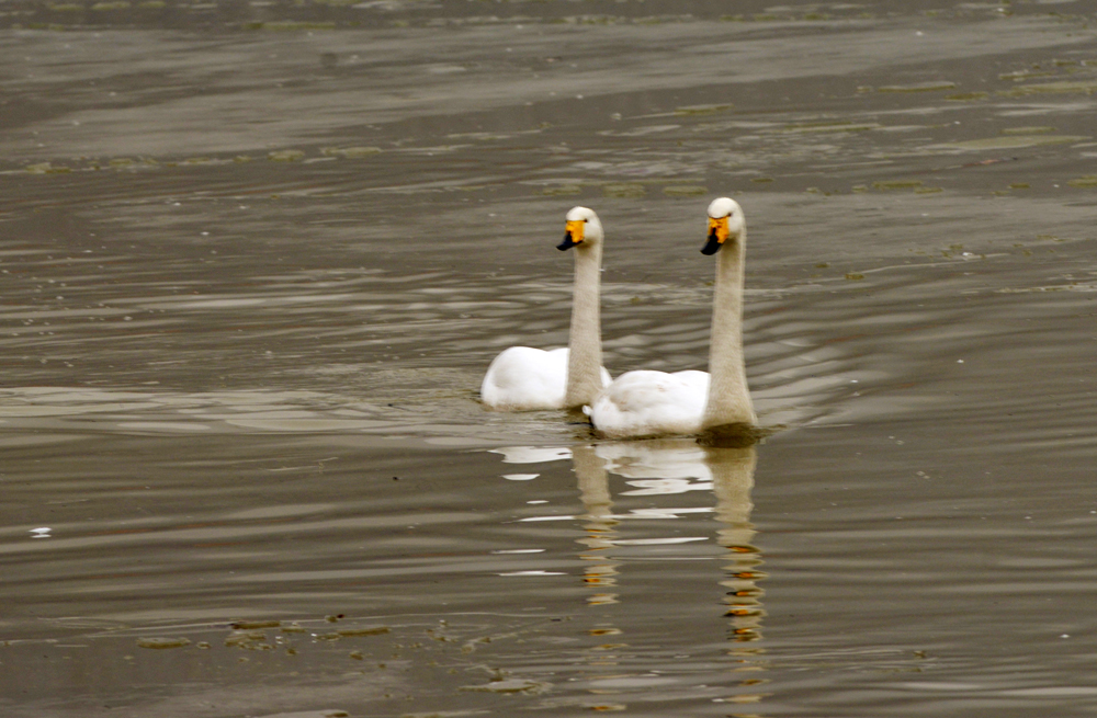 DSC_5392.JPG