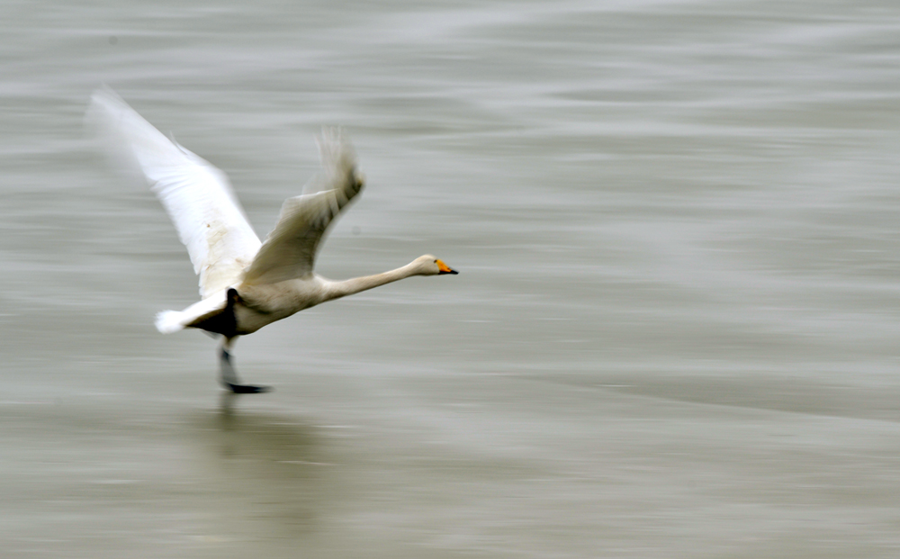 DSC_5395.JPG