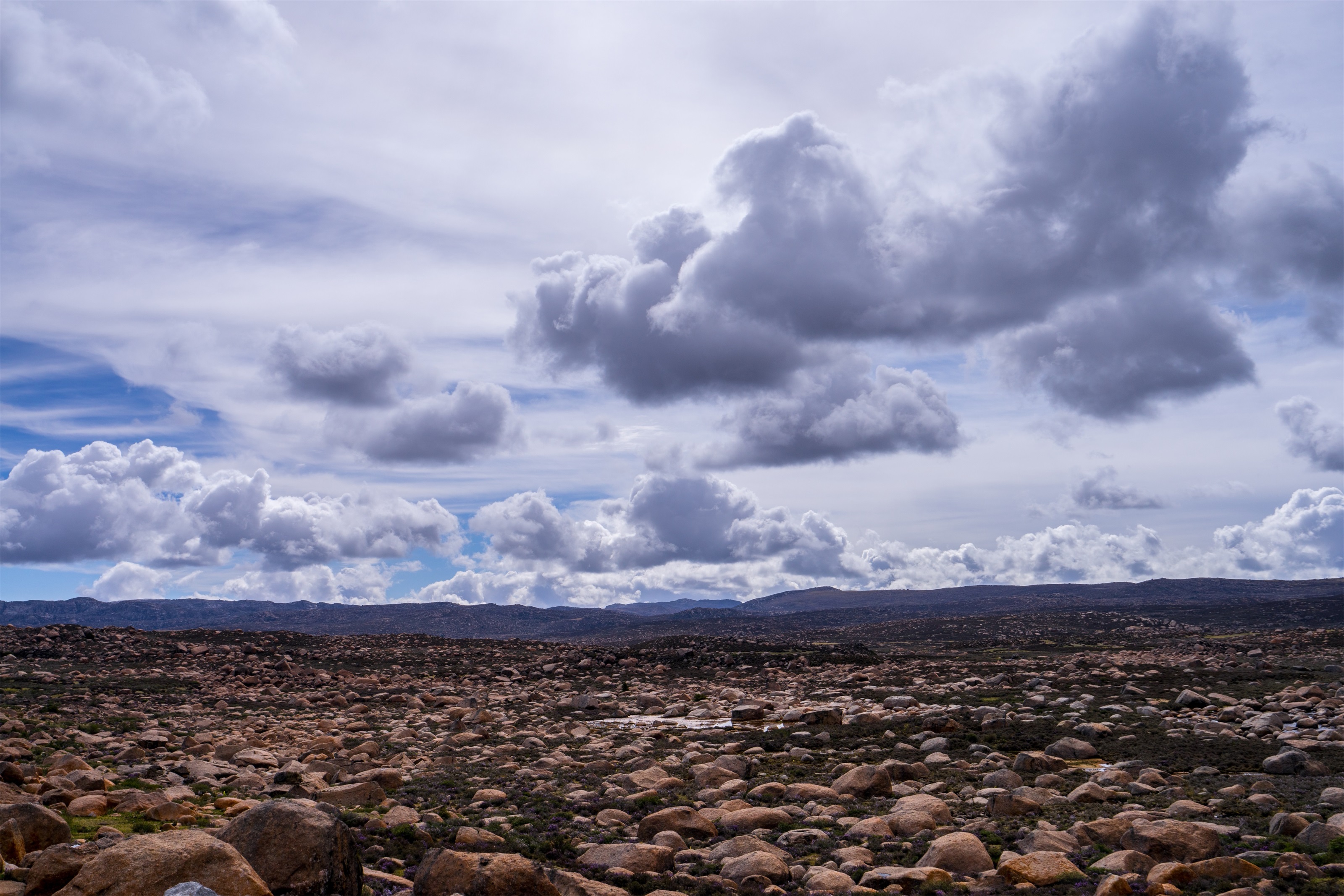_DSC8824-2ab.jpg