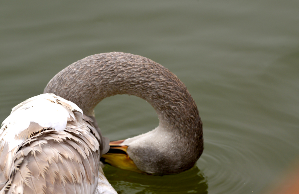 DSC_5314.JPG