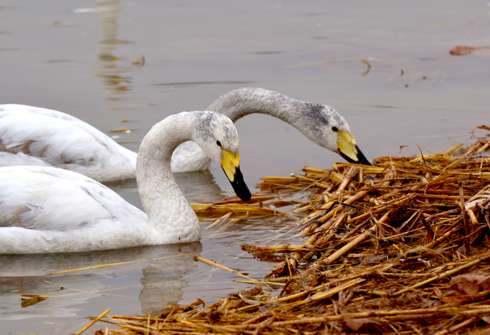 DSC_5341.JPG