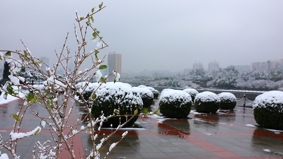 DSCF7699.JPG