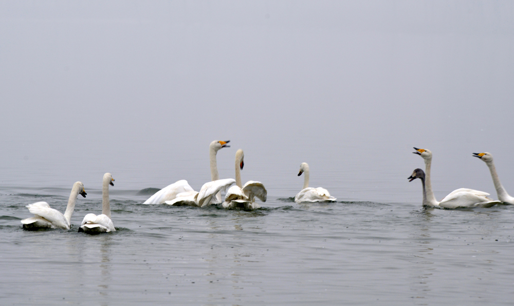 DSC_5292.JPG