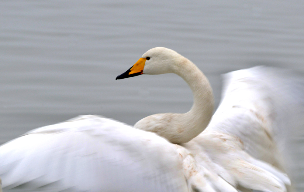 DSC_5301.JPG