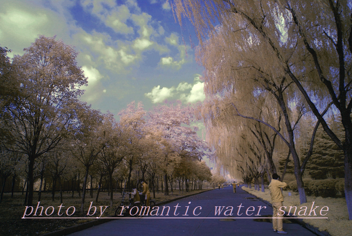 0_71842_c0986c78d3797f4.jpg