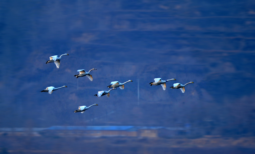 DSC_8071.JPG
