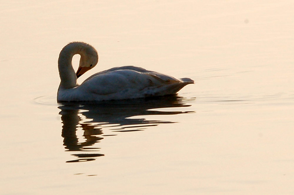 DSC_4119.JPG