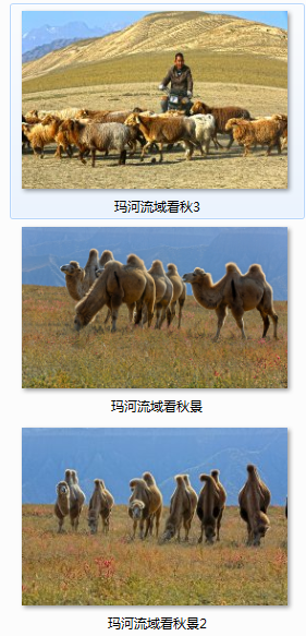 QQͼƬ20151119192321.png