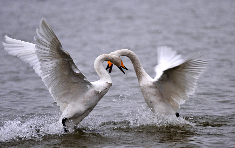 DSC_3422.JPG