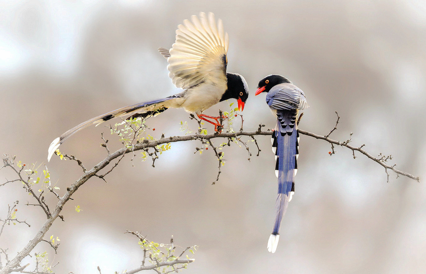 168A0139____.jpg