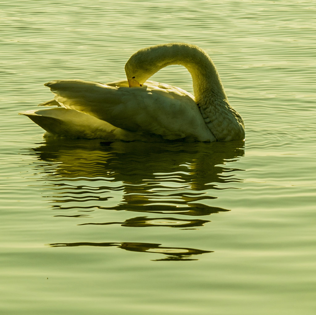 _DSC4655.jpg