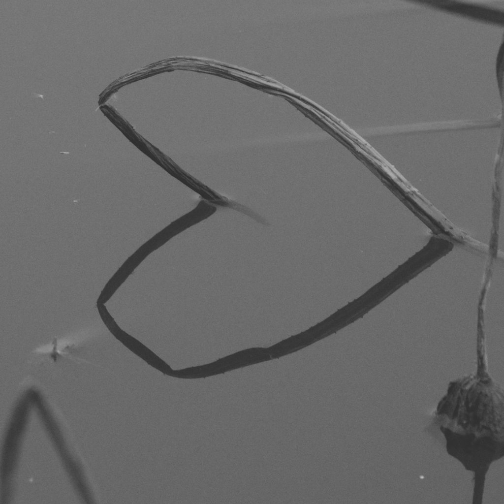 DSC_5255.jpg