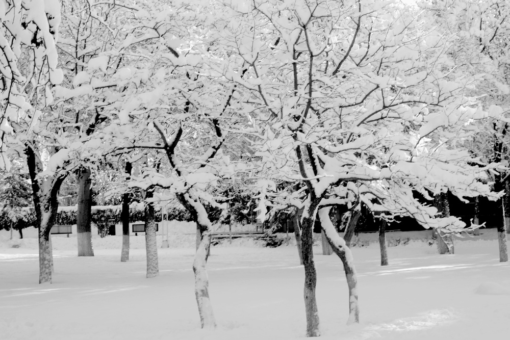 DSC01783_.jpg