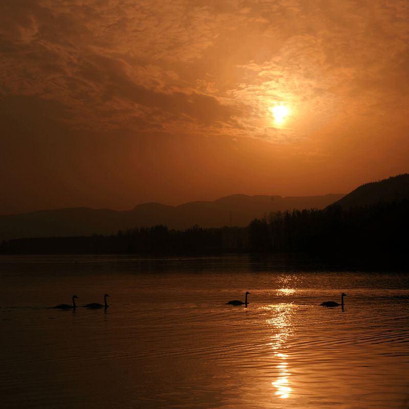 DSC_2520__.jpg
