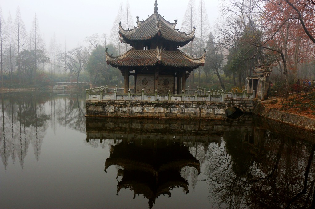 conew_img_0255_conew1.jpg