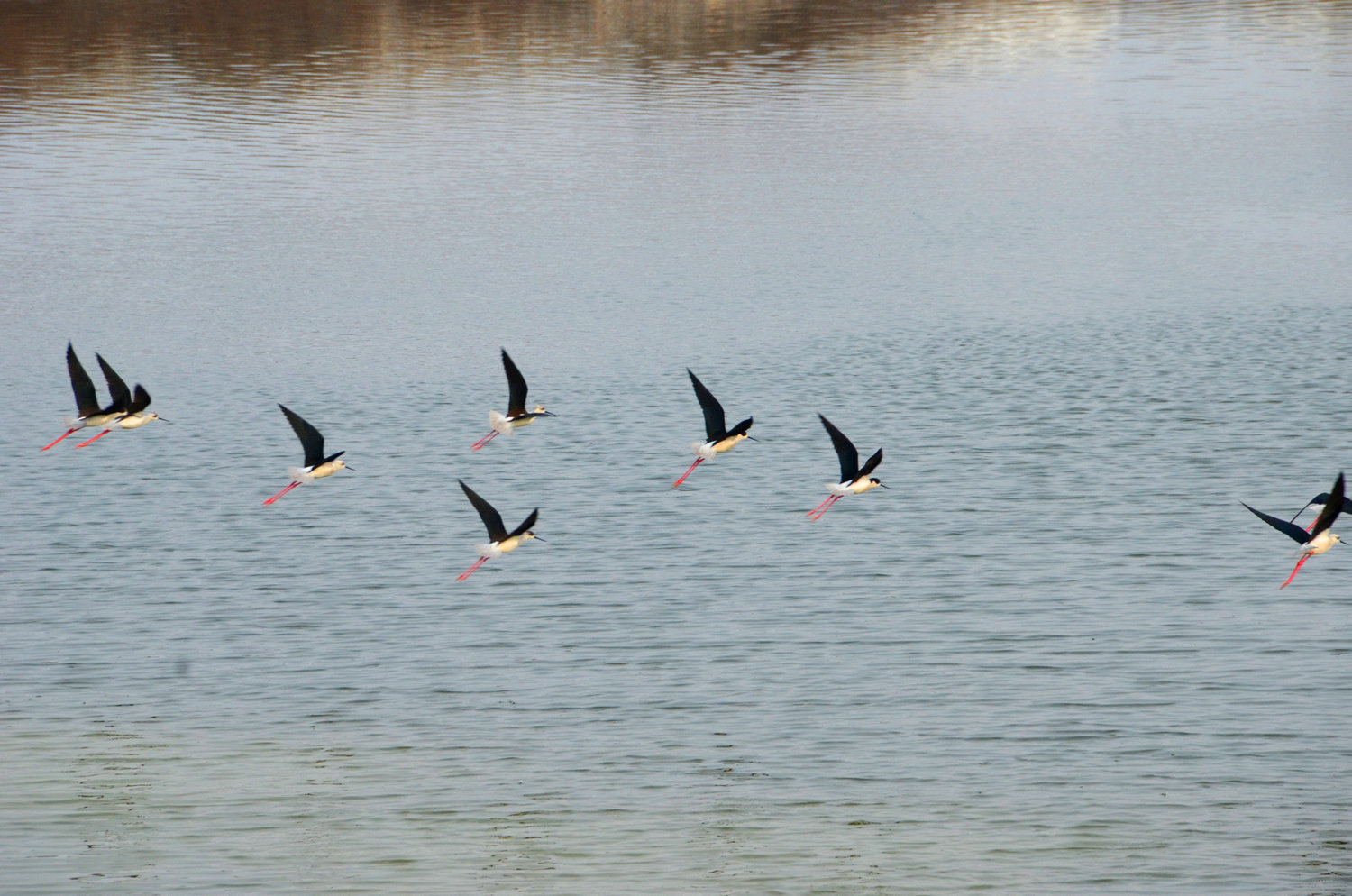DSC_3859.JPG