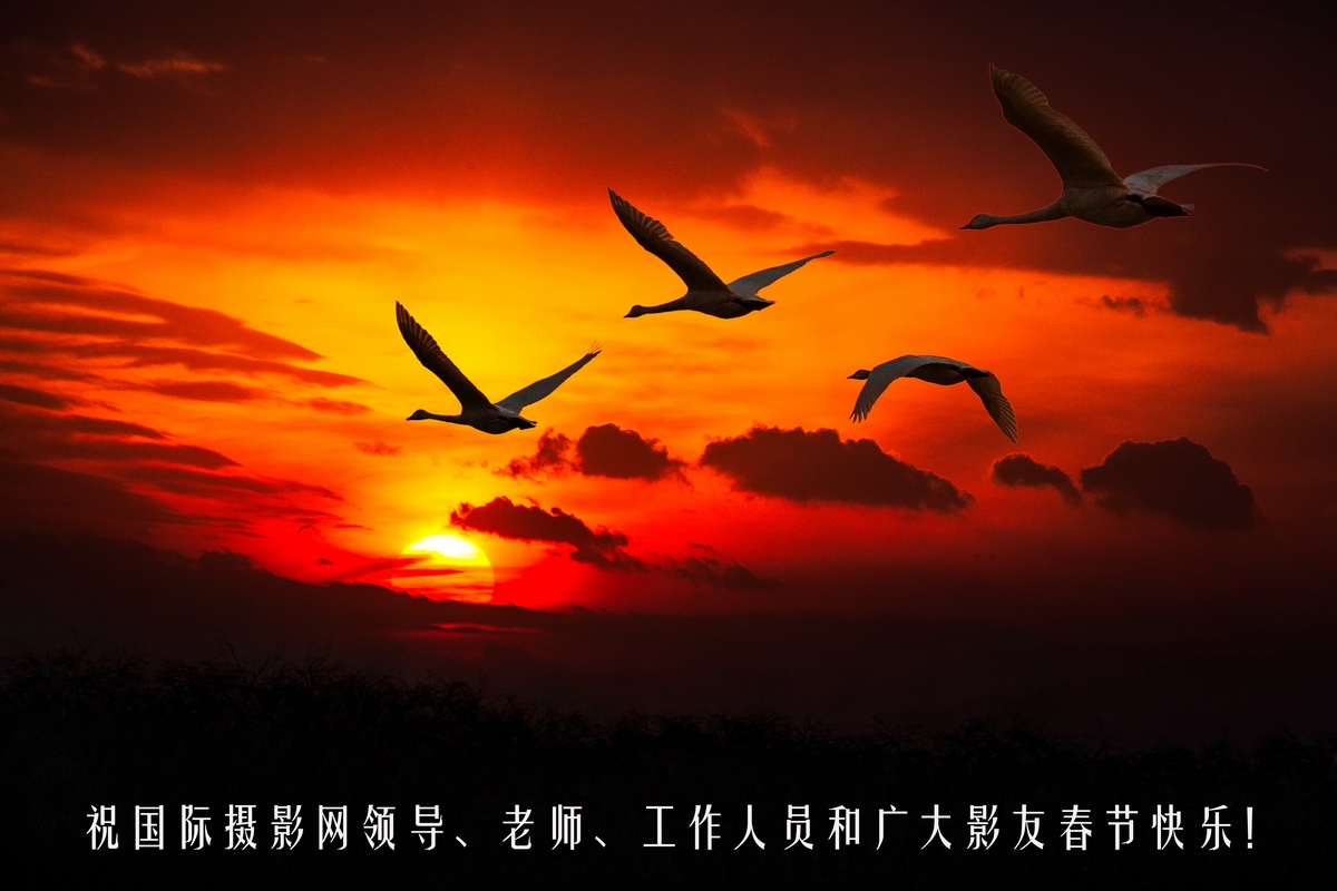 7Q3A1049-1.jpg