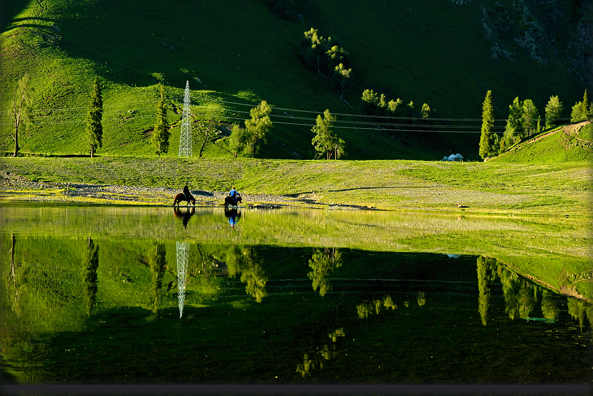 DSC_4880-1.jpg