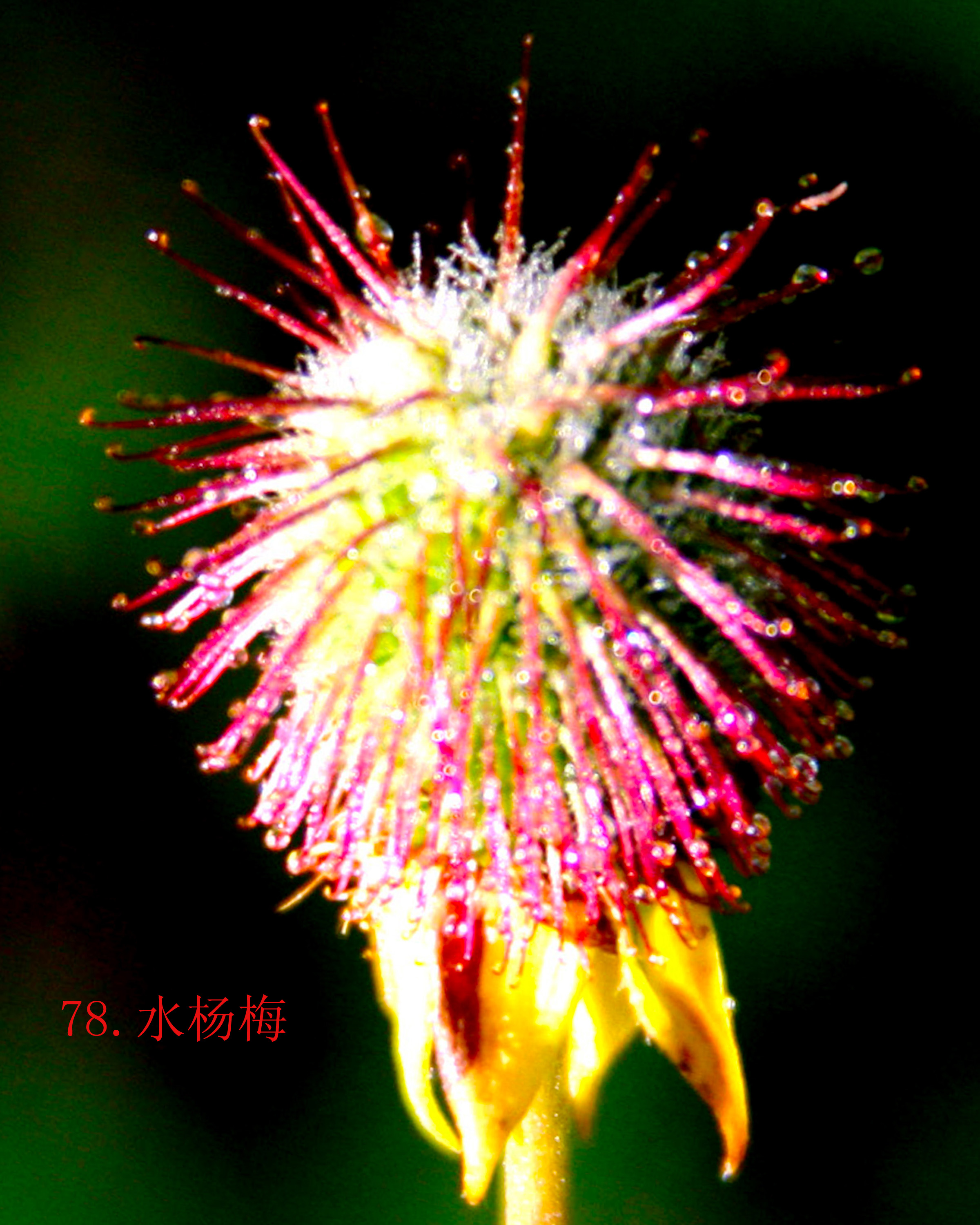 78.ˮ÷.JPG