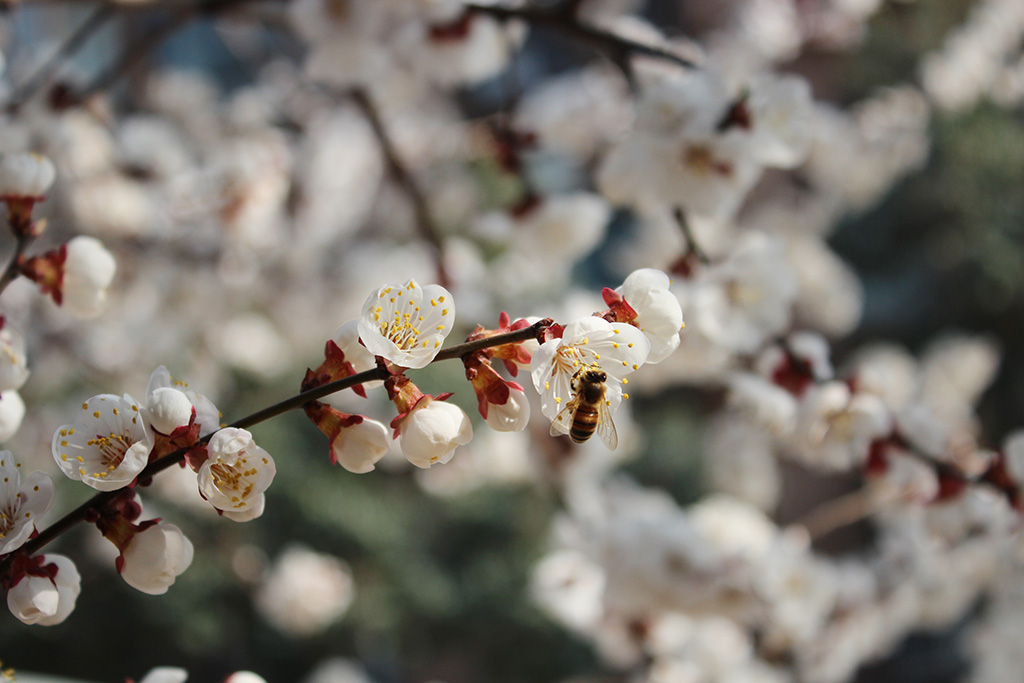 �ӻ��ϵ��۷�