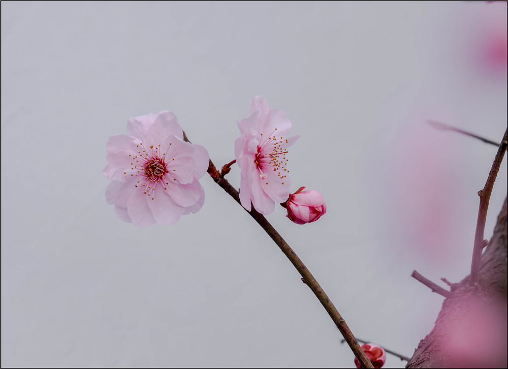 _54A1353.jpg