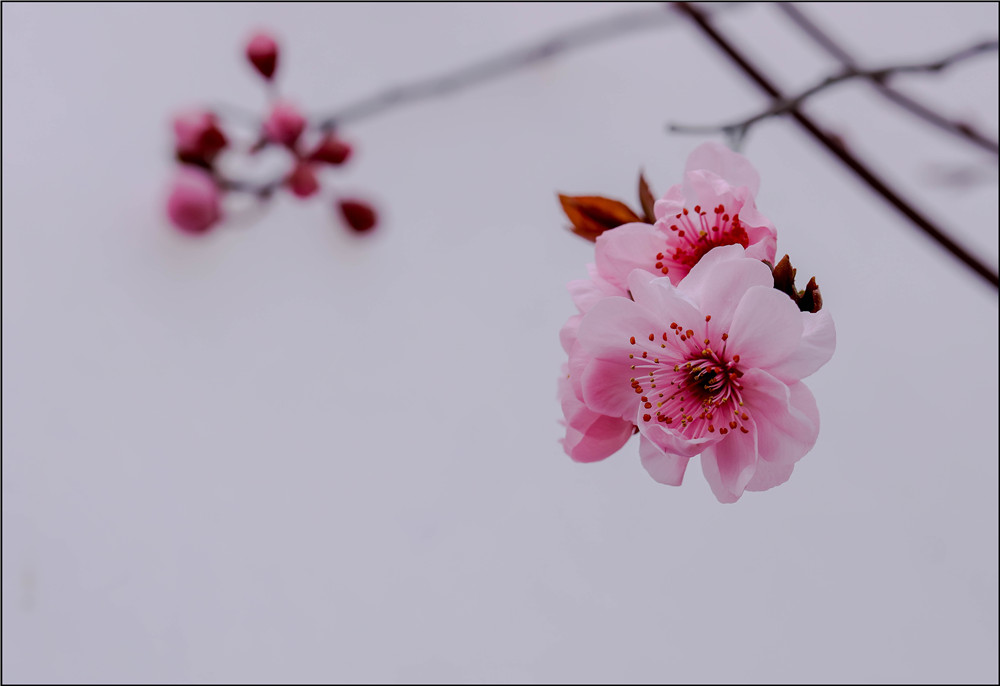 _54A1349.jpg