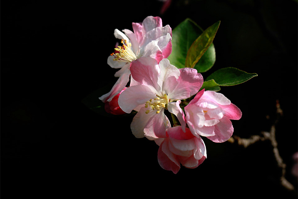 IMG_7645_.jpg