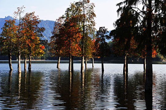 DSC_2790a.jpg