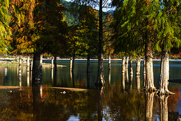 DSC_2798a.jpg