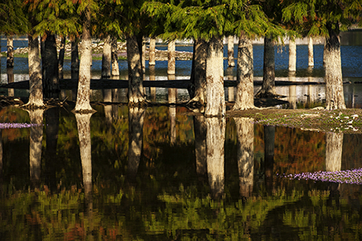 DSC_2895.JPG