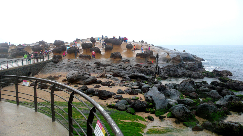 P1140322.1000w.jpg