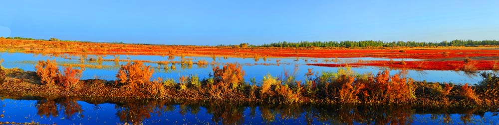 DSC_7447 Panorama.jpg